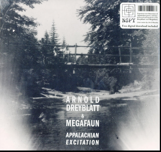 DREYBLATT, ARNOLD & MEGAFAUN | APPALACHIAN EXCITATION | VINYL RECORD (LP)