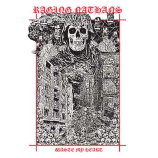 RAGING NATHANS | WASTE MY HEART | VINYL RECORD (LP)