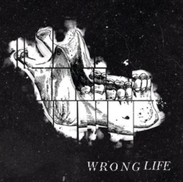 WRONG LIFE | WRONG LIFE | VINYL RECORD (LP)