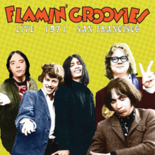 FLAMIN GROOVIES | LIVE IN SANFRANCISCO 1973 | VINYL RECORD (LP)
