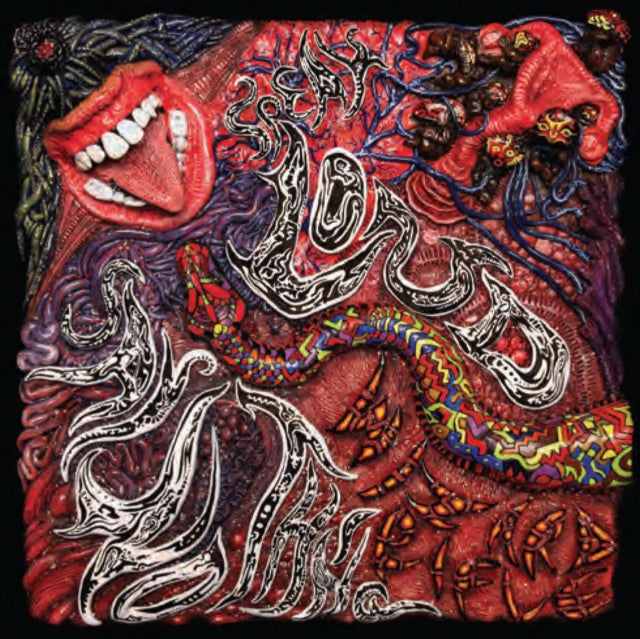 WIZARD RIFLE | SPEAK LOUD SAY NOTHING | VINYL RECORD (LP)