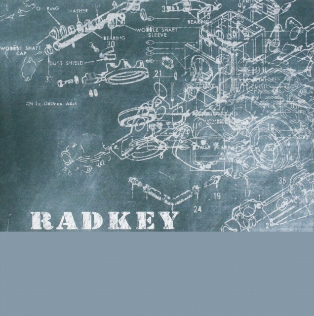 RADKEY | FEED MY BRAIN | 7IN VINYL