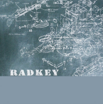 RADKEY | FEED MY BRAIN | 7IN VINYL