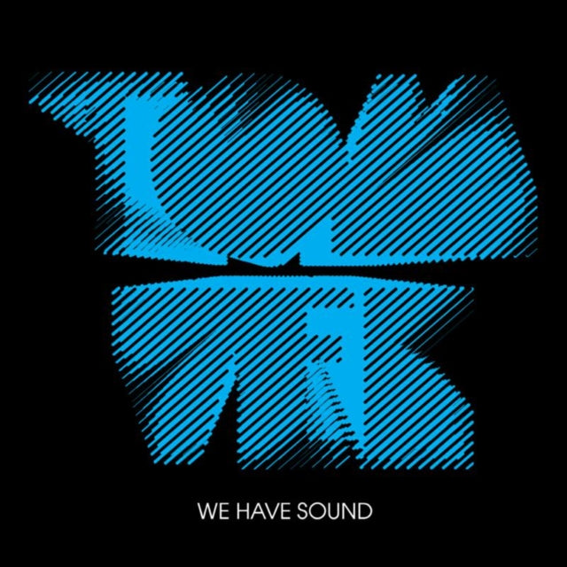 VEK, TOM | WE HAVE SOUND (10 YEAR ANNIVERSARY) | VINYL RECORD (LP)