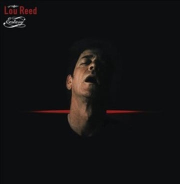 REED, LOU | ECSTASY (2LP) | VINYL RECORD (LP)