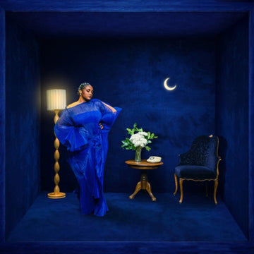 WHEN THE CITY SLEEPS (2LP/COBALT VINYL) | VINYL RECORD (LP)