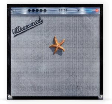(((((ULTRASOUND)))))+ (OPAQUE TANGERINE VINYL/2LP) | VINYL RECORD (LP)