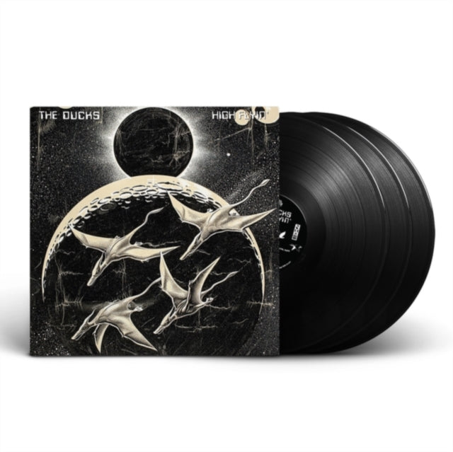 DUCKS | HIGH FLYIN (3LP) | VINYL RECORD (LP)