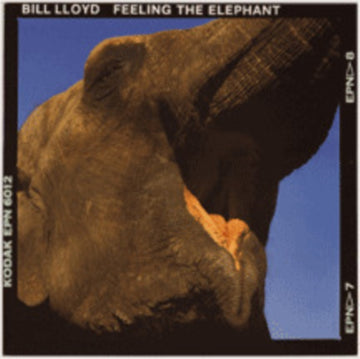 FEELING THE ELEPHANT | VINYL RECORD (LP)
