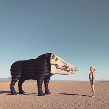 DREAM HUNTING IN THE VALLEY OF THE IN BE | VINYL RECORD (LP)