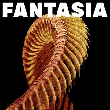 FANTASIA | VINYL RECORD (LP)