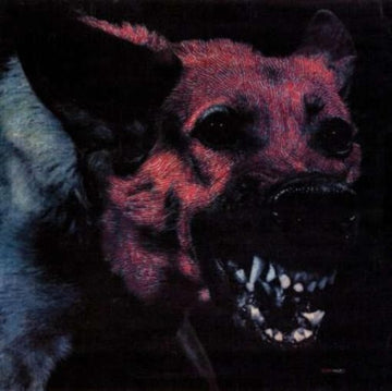 PROTOMARTYR | UNDER COLOR OF OFFICIAL RIGHT | VINYL RECORD (LP)