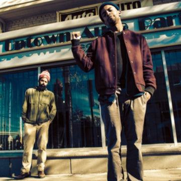 DREAMS & VIBRATIONS (2LP) | VINYL RECORD (LP)