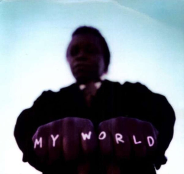 FIELDS, LEE & THE EXPRESSIONS | MY WORLD | VINYL RECORD (LP)