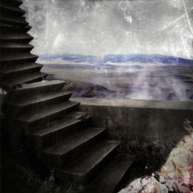 WILD HUNT | BEFORE THE PLANE OF ANGLES | VINYL RECORD (LP)
