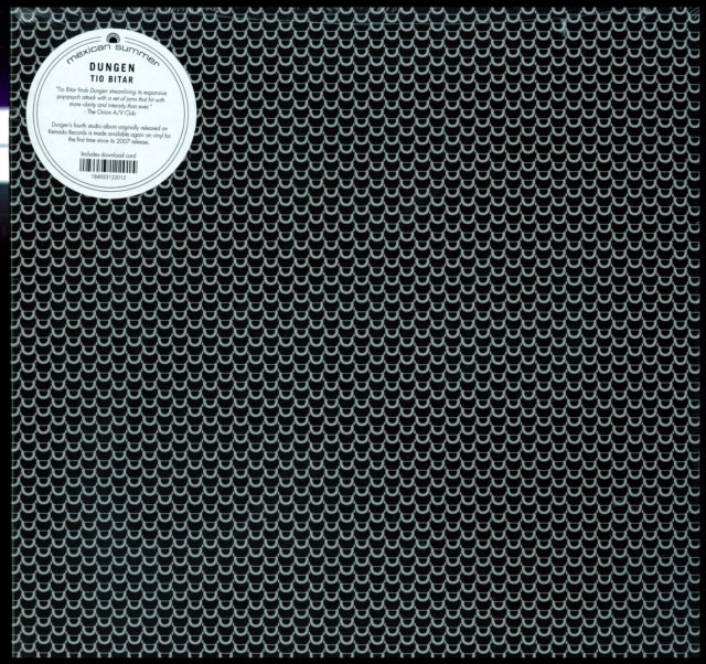DUNGEN | TIO BITAR | VINYL RECORD (LP)