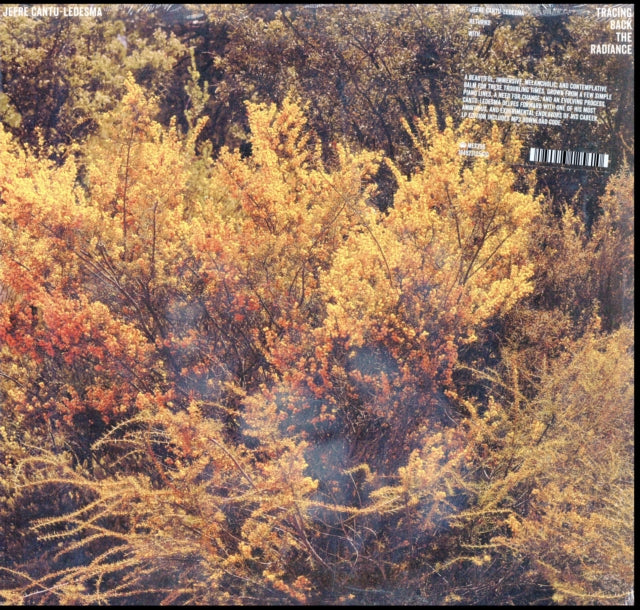CANTU-LEDESMA, JEFRE | TRACING BACK THE RADIANCE | VINYL RECORD (LP)