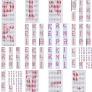 PINK, ARIEL | SIT N' SPIN | VINYL RECORD (LP)