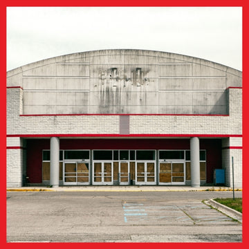 BOUGHT TO ROT | VINYL RECORD (LP)
