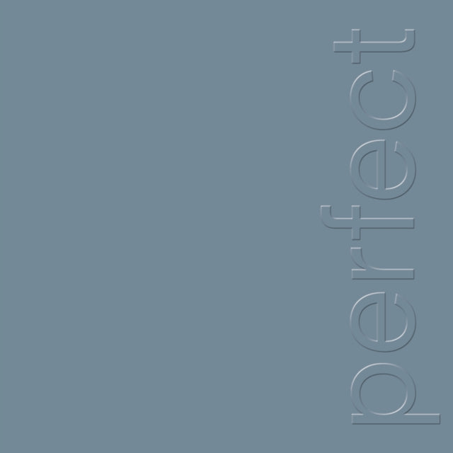 NEW ORDER | PERFECT KISS (2022 REMASTER) | 12IN VINYL