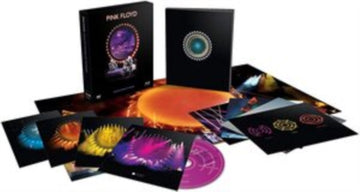 PINK FLOYD | DELICATE SOUND OF THUNDER | VINYL RECORD (LP)