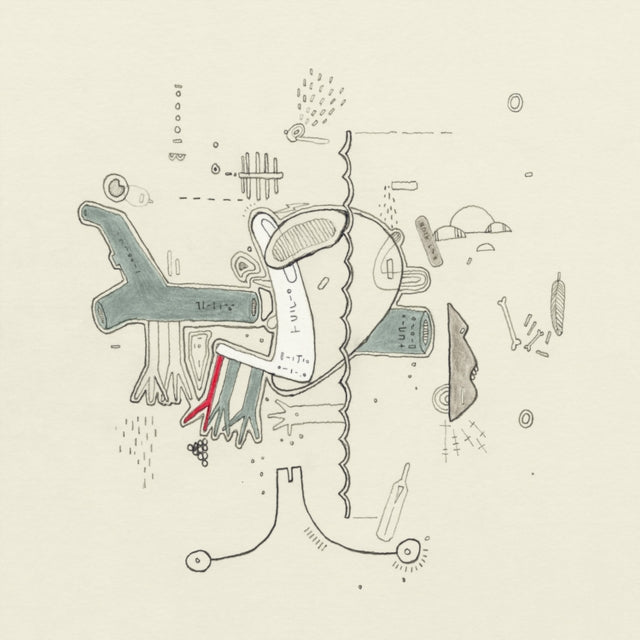 TINY CHANGES | CELEBRATION OF FRIGHTENED RABBIT'S THE MIDNIGHT ORGAN FIGHT (2LP) | VINYL RECORD (LP)