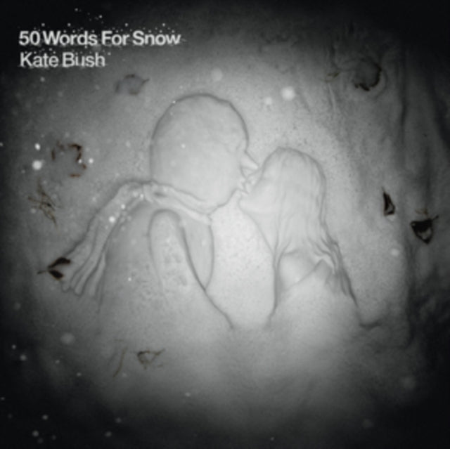 BUSH, KATE | 50 WORDS FOR SNOW | VINYL RECORD (LP)