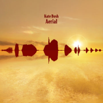 AERIAL | VINYL RECORD (LP)