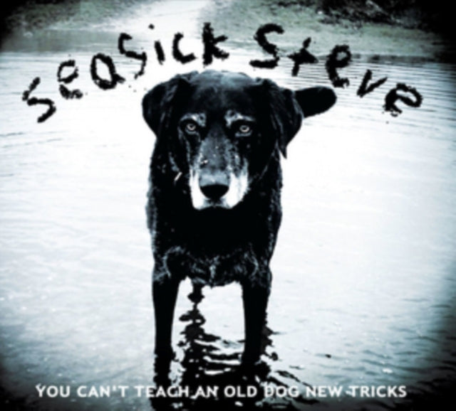 SEASICK STEVE | YOU CAN'T TEACH AN OLD DO | VINYL RECORD (LP)
