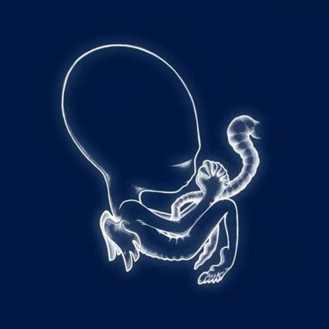 SIGUR ROS | AGAETIS BYRJUN | VINYL RECORD (LP)