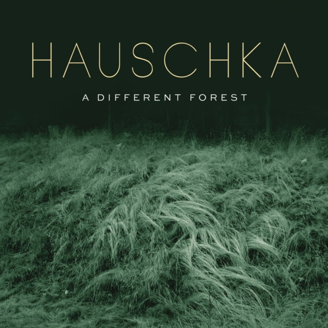 HAUSCHKA | DIFFERENT FOREST | VINYL RECORD (LP)