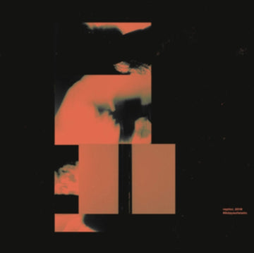 REPLICR, 2019 (LP/CD/180G/BOOKLET/IMPORT) | VINYL RECORD (LP)