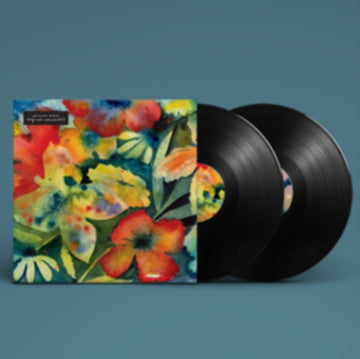 LENKER, ADRIANNE | SONGS & INSTRUMENTALS | VINYL RECORD (LP)