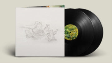 BIG THIEF | DRAGON NEW WARM MOUNTAIN I BELIEVE IN YOU (2LP) | VINYL RECORD (LP)