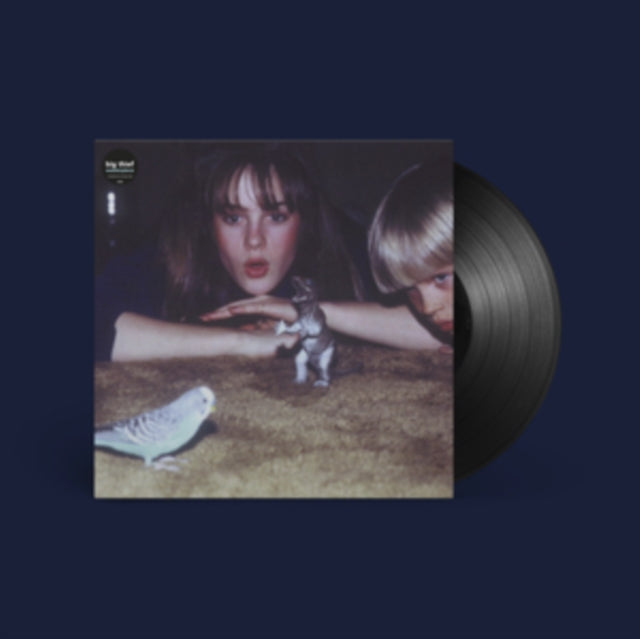 BIG THIEF | MASTERPIECE | VINYL RECORD (LP)