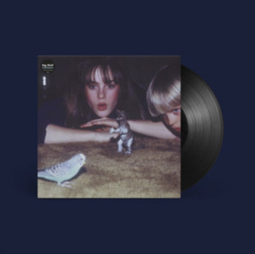 BIG THIEF | MASTERPIECE | VINYL RECORD (LP)