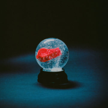 NOTHING | VINYL RECORD (LP)