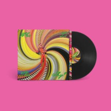WHO IS THE SKY? | VINYL RECORD (LP)