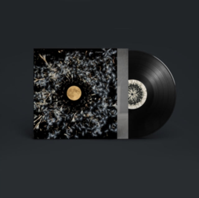 O'NEILL, LISA | ALL OF THIS IS CHANCE | VINYL RECORD (LP)