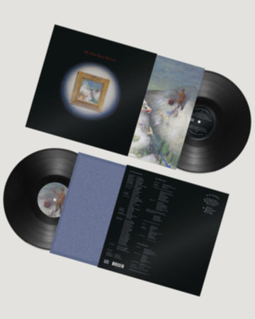 MY NEW BAND BELIEVE | VINYL RECORD (LP)