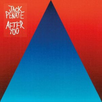 AFTER YOU | VINYL RECORD (LP)