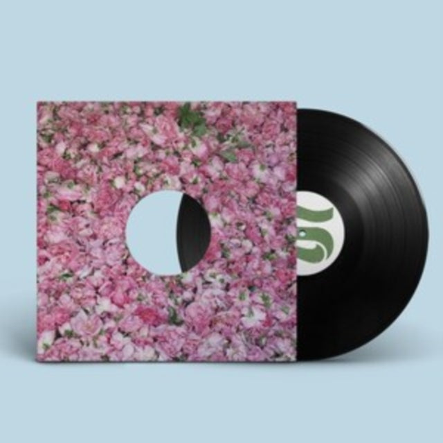 BRAXE + FALCON | STEP BY STEP REMIXES | 12IN VINYL