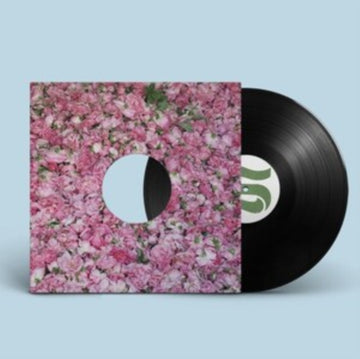 BRAXE + FALCON | STEP BY STEP REMIXES | 12IN VINYL
