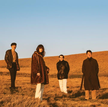 FUR | WHEN YOU WALK AWAY | VINYL RECORD (LP)