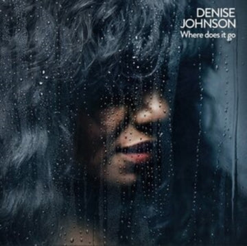 WHERE DOES IT GO (IMPORT) | VINYL RECORD (LP)