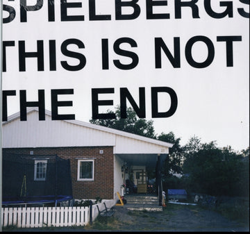 THIS IS NOT THE END | VINYL RECORD (LP)