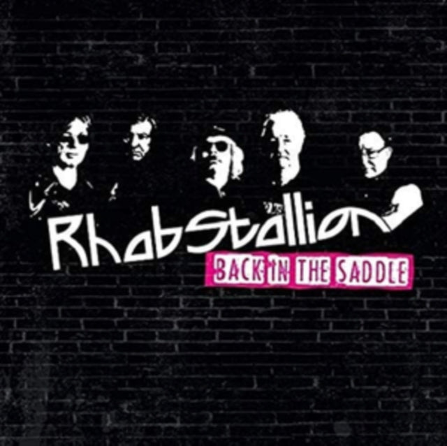 RHABSTALLION | BACK IN THE SADDLE (2LP) | VINYL RECORD (LP)