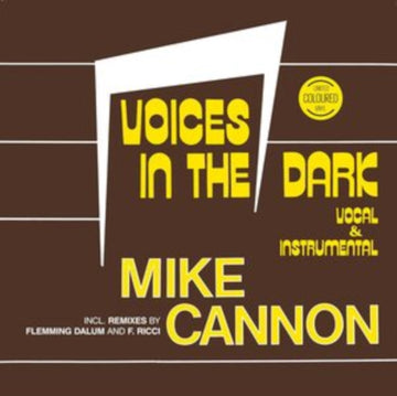 VOICES IN THE DARK | VINYL RECORD (LP)