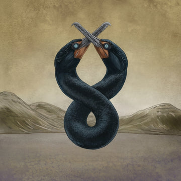 FERMIN, SAN | CORMORANT I & II (2 LP) | VINYL RECORD (LP)