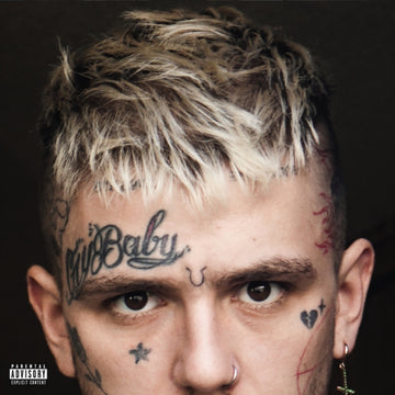 EVERYBODY'S EVERYTHING (PA) (2LP) (150G) | VINYL RECORD (LP)